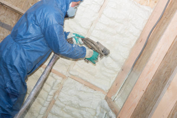 Reliable Dutch Island, GA Foam Insulation Services Solutions